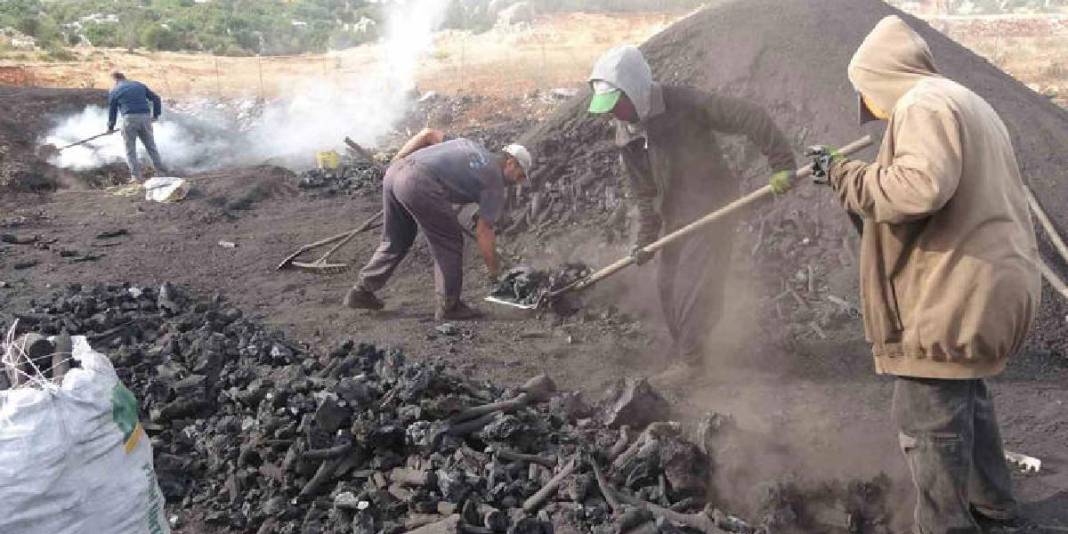 Ateş başında nöbet, toz içinde mesai! Toroslarda zorlu geçim kaynağı: Birçok ailenin ekmek kapısı oluyor 7